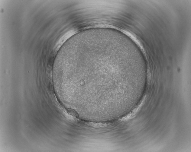 X0000086921289200705071319