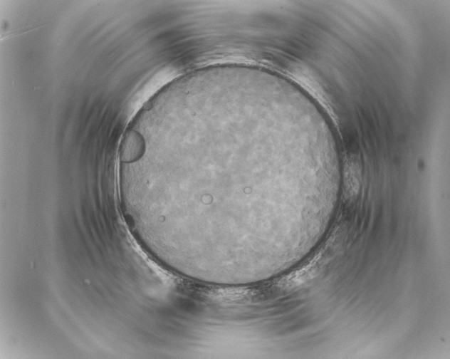 X0000086921290200705071319