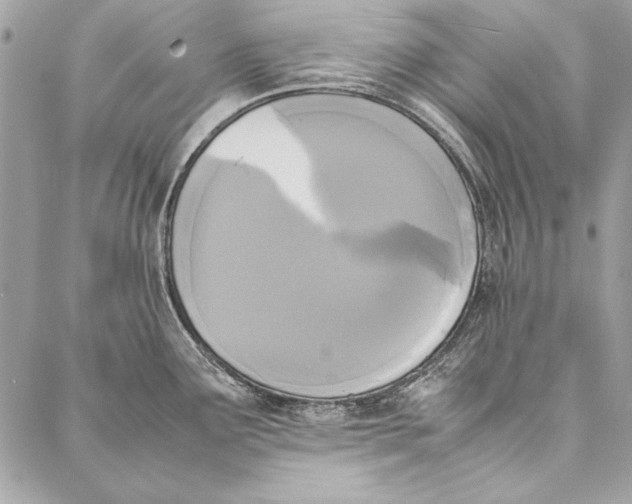 X0000086921291200705071318