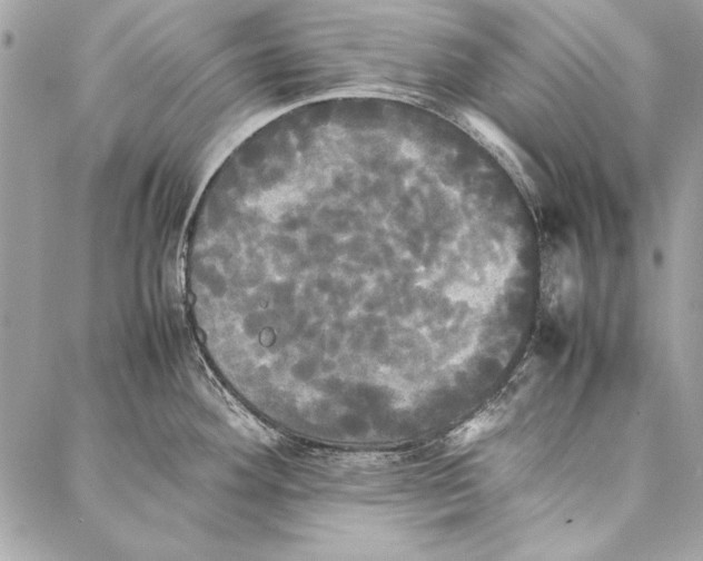 X0000086921292200705071318