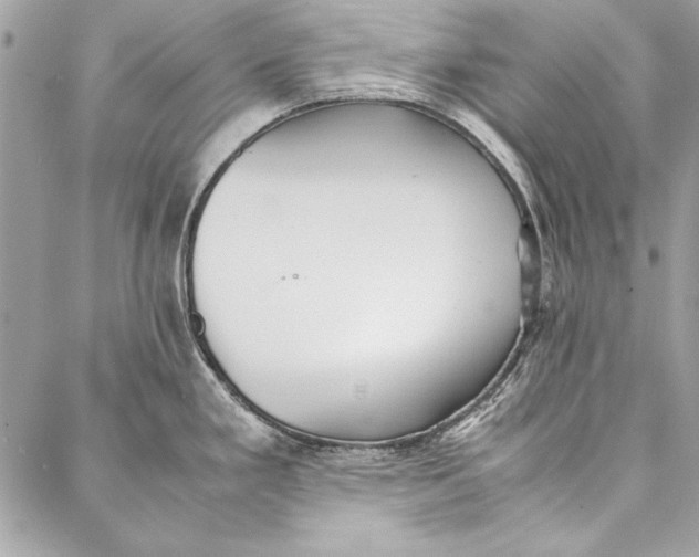 X0000086921293200705071318