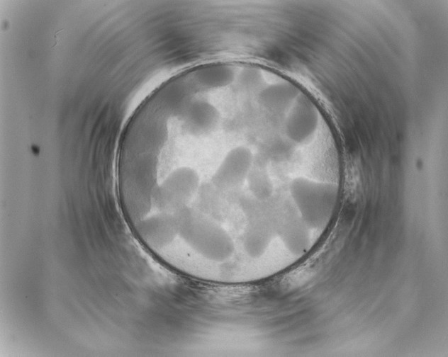 X0000086921294200705071318