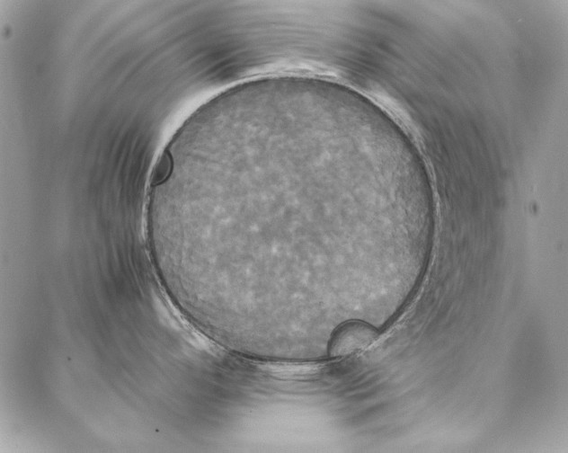 X0000086921296200705071318