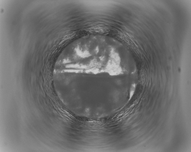 X0000086921297200705071318