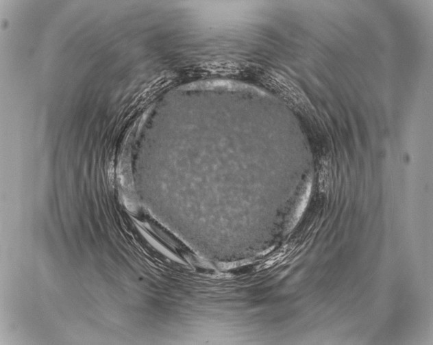 X0000086921298200705071318