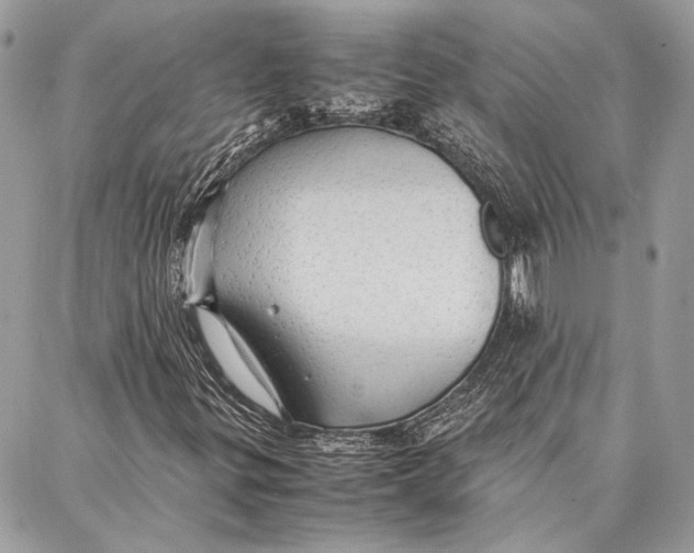 X0000086921299200705071318