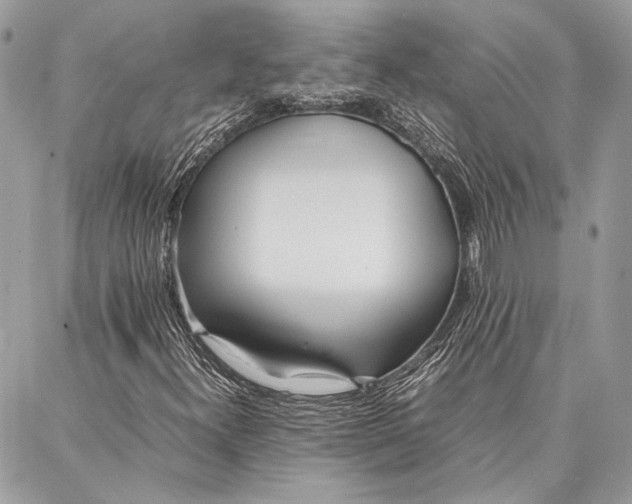 X0000086921300200705071318