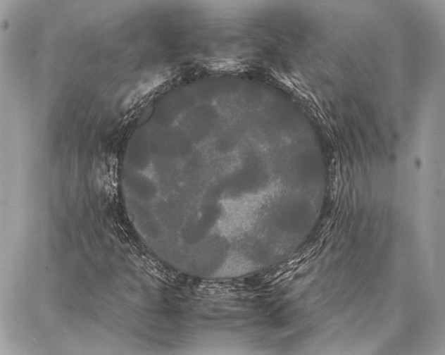 X0000086921301200705071318