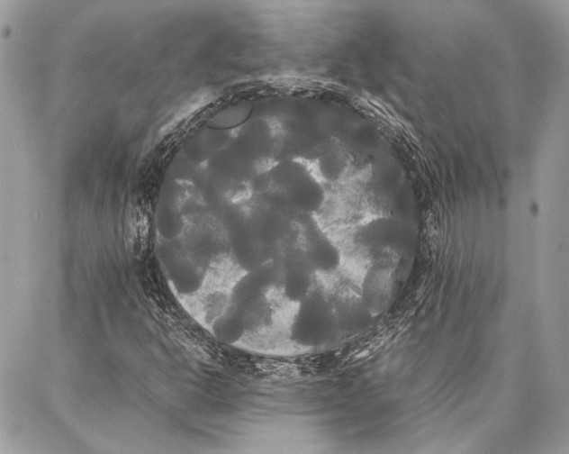 X0000086921302200705071318