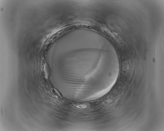 X0000086921303200705071318