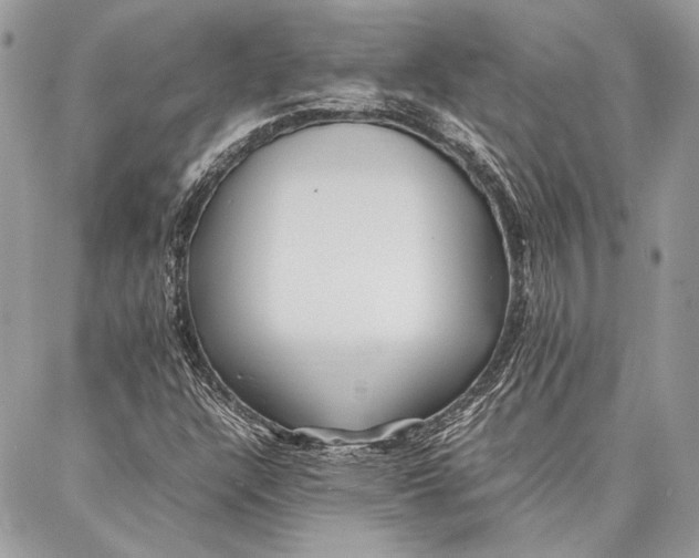 X0000086921304200705071318