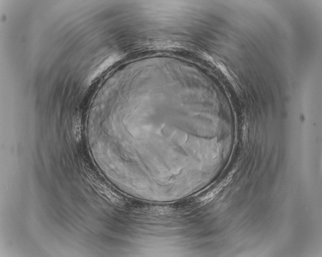 X0000086921306200705071318