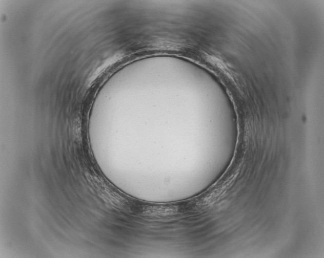 X0000086921307200705071318