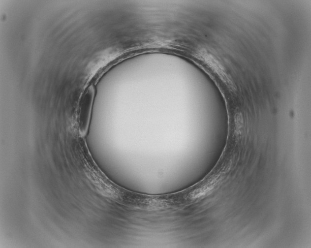 X0000086921308200705071318