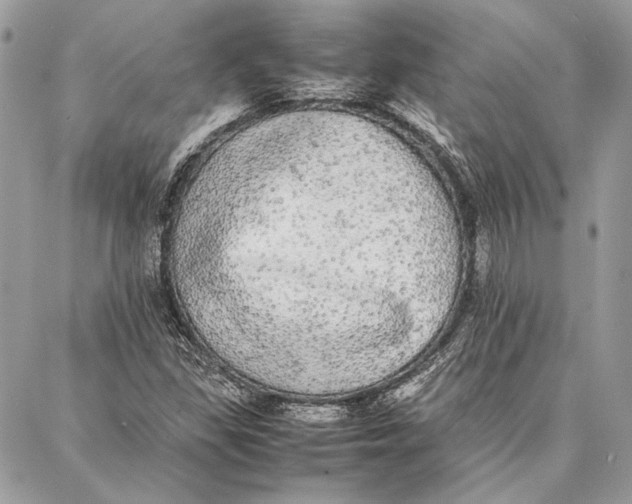 X0000086921309200705071318