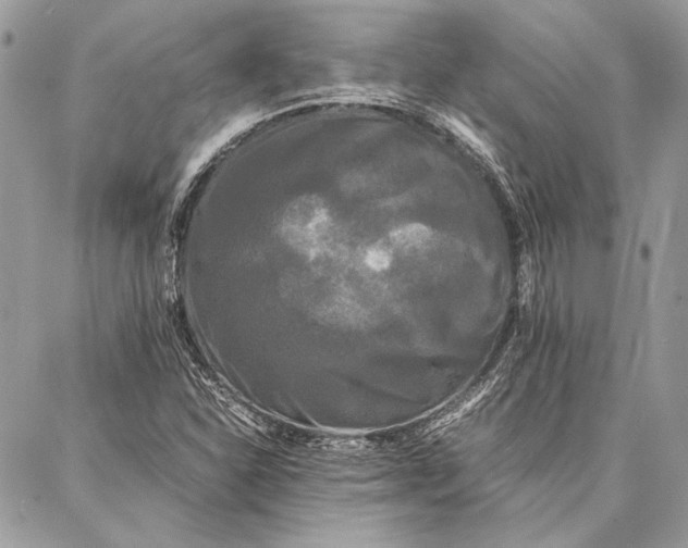 X0000086921310200705071318