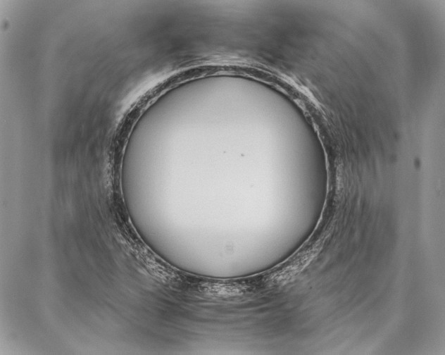 X0000086921311200705071318