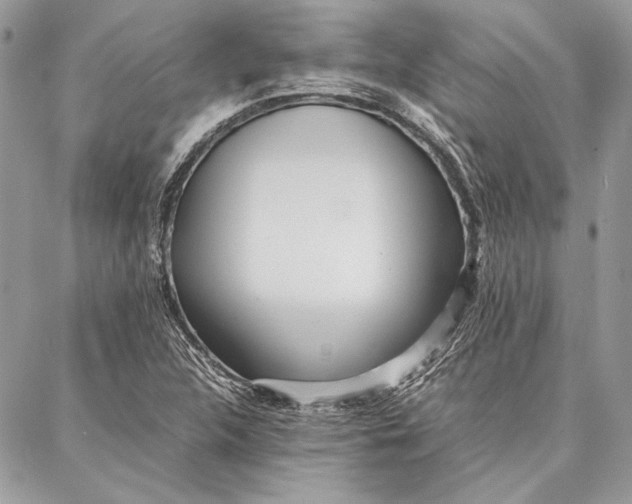 X0000086921312200705071318