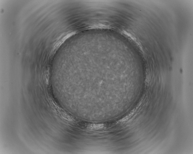 X0000086921313200705071318