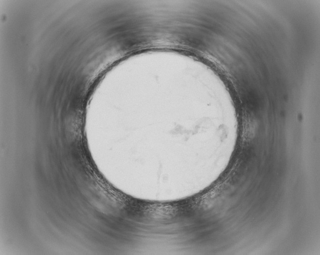 X0000086921314200705071318