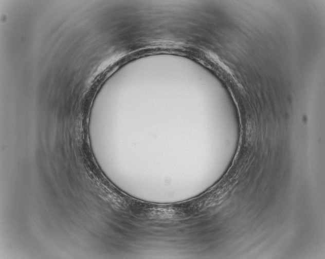 X0000086921315200705071318