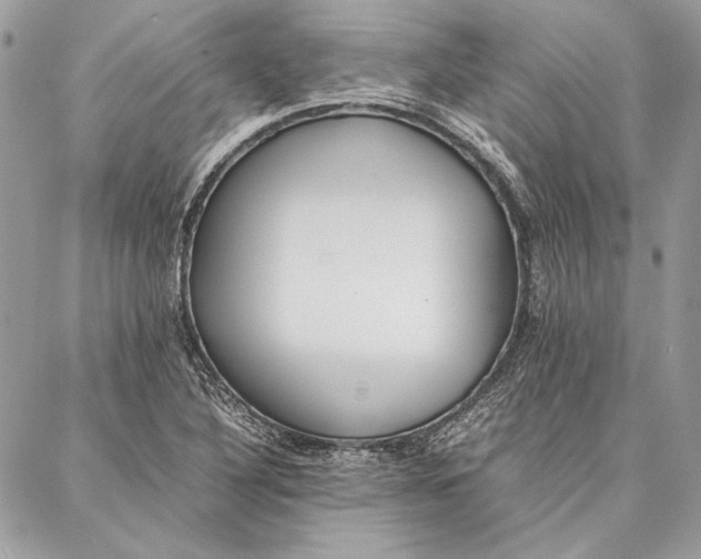 X0000086921316200705071318