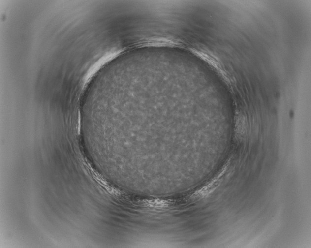 X0000086921317200705071318