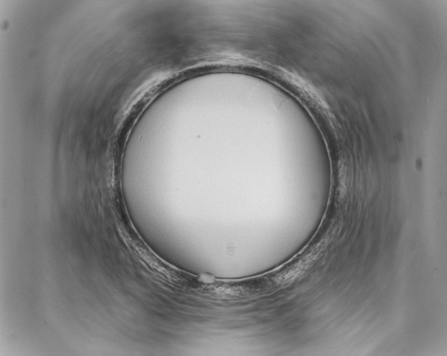 X0000086921318200705071318