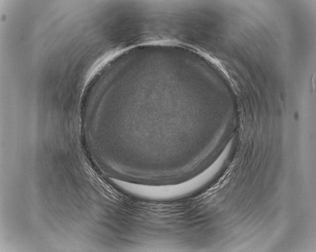 X0000086921319200705071318