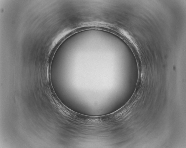 X0000086921320200705071318