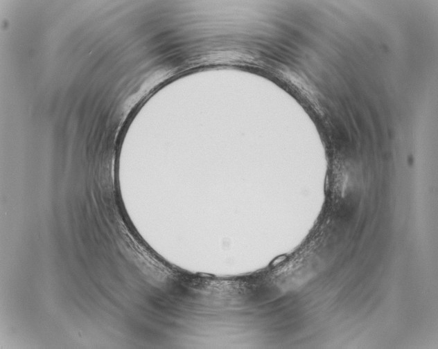 X0000086921322200705071318