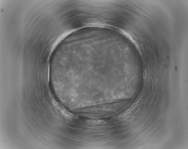 X0000086921323200705071318