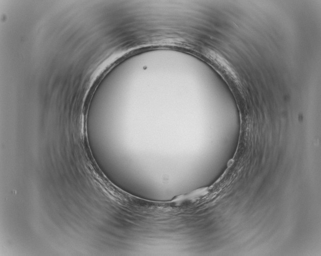 X0000086921324200705071318