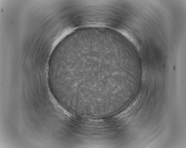 X0000086921325200705071318