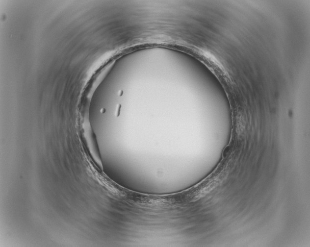 X0000086921326200705071318