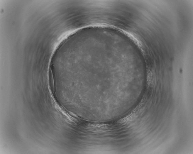 X0000086921327200705071318