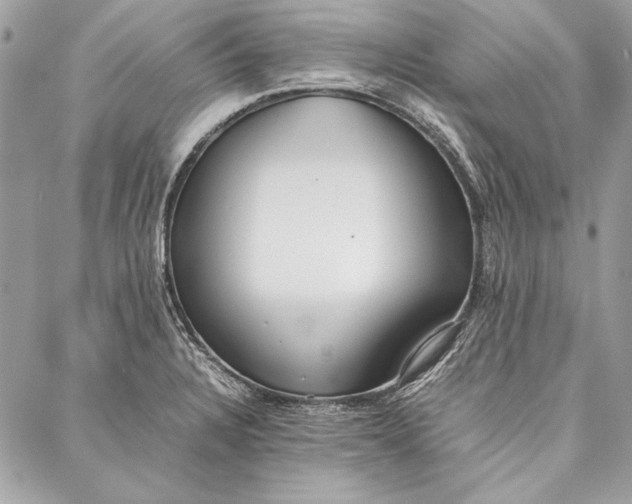 X0000086921328200705071318