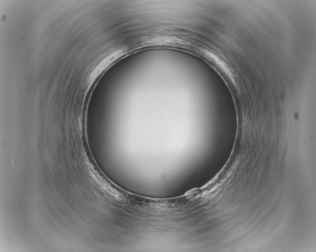 X0000086921330200705071318