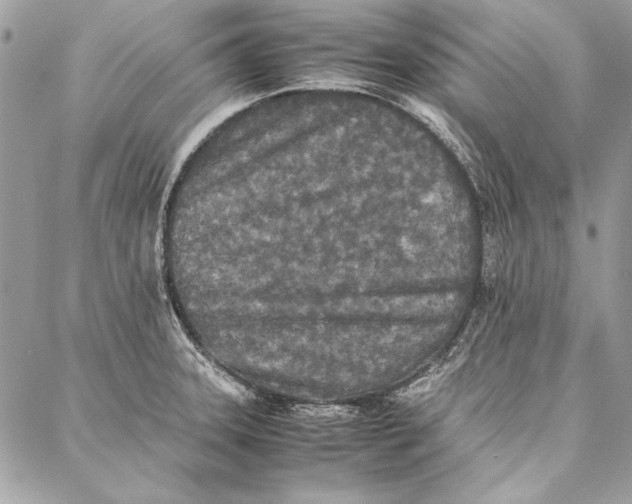 X0000086921331200705071318