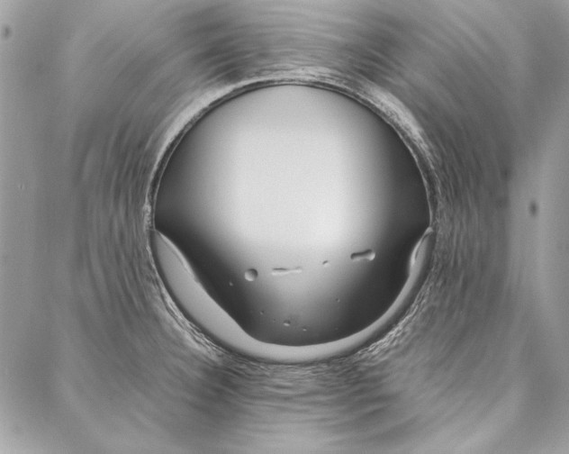 X0000086921332200705071318