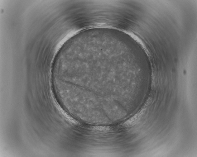 X0000086921333200705071318