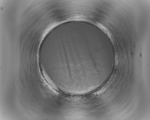 X0000086921334200705071318