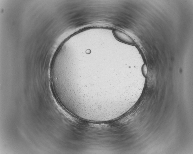 X0000086921335200705071318