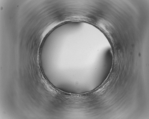 X0000086921336200705071318