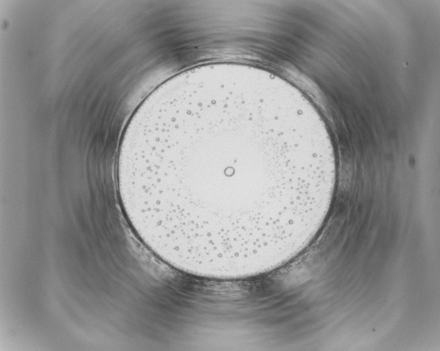 X0000086921338200705071318