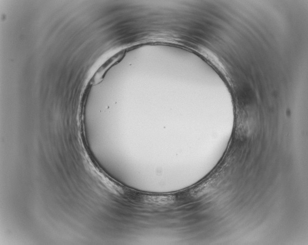 X0000086921339200705071318