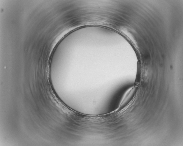 X0000086921340200705071318