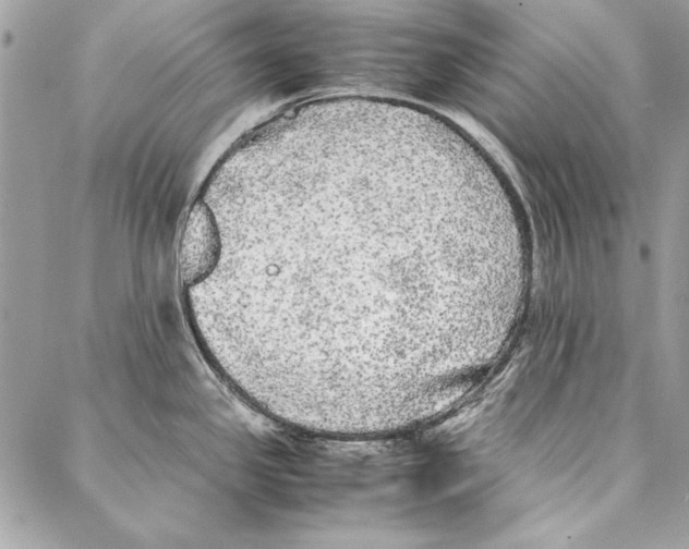 X0000086921341200705071318