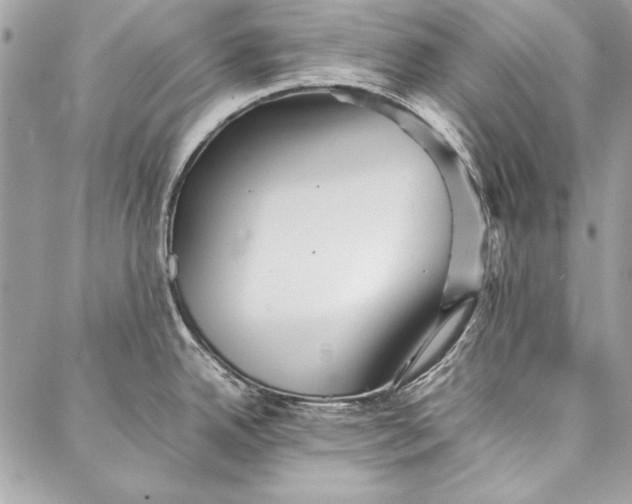 X0000086921342200705071318