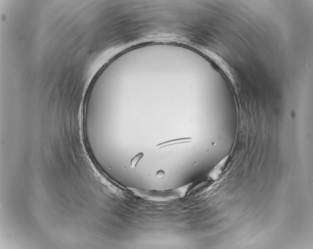 X0000086921343200705071318